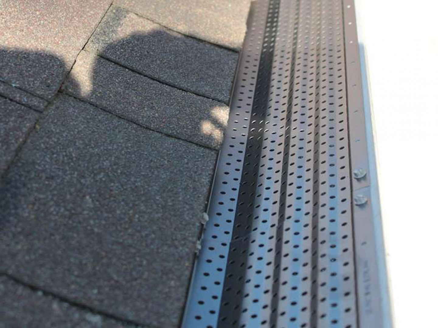 Leaf Guards, Leaf Guard Installation Bismarck, Mandan, and